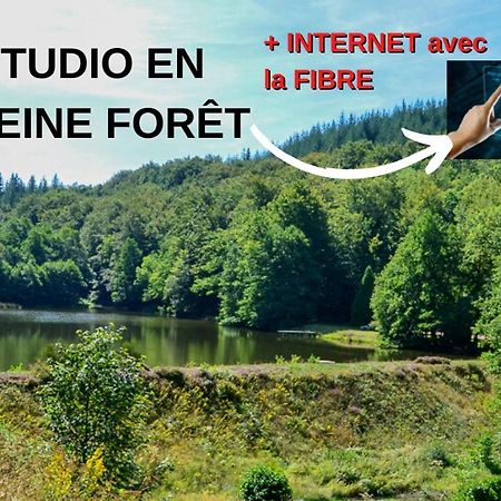 Studio aux Sources de la Chabanne Saint-Hilaire-les-Courbes Extérieur photo