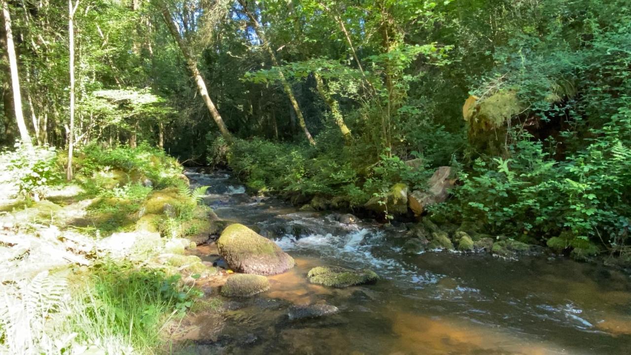 Studio aux Sources de la Chabanne Saint-Hilaire-les-Courbes Extérieur photo