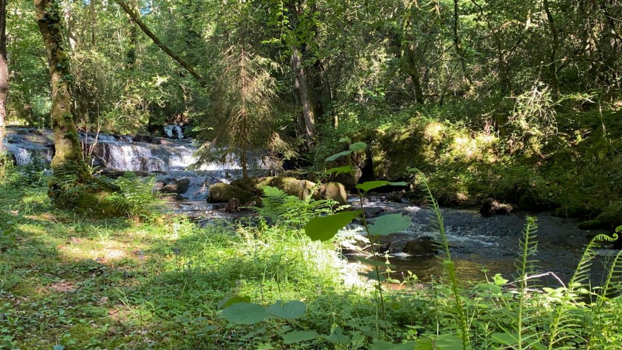 Studio aux Sources de la Chabanne Saint-Hilaire-les-Courbes Extérieur photo