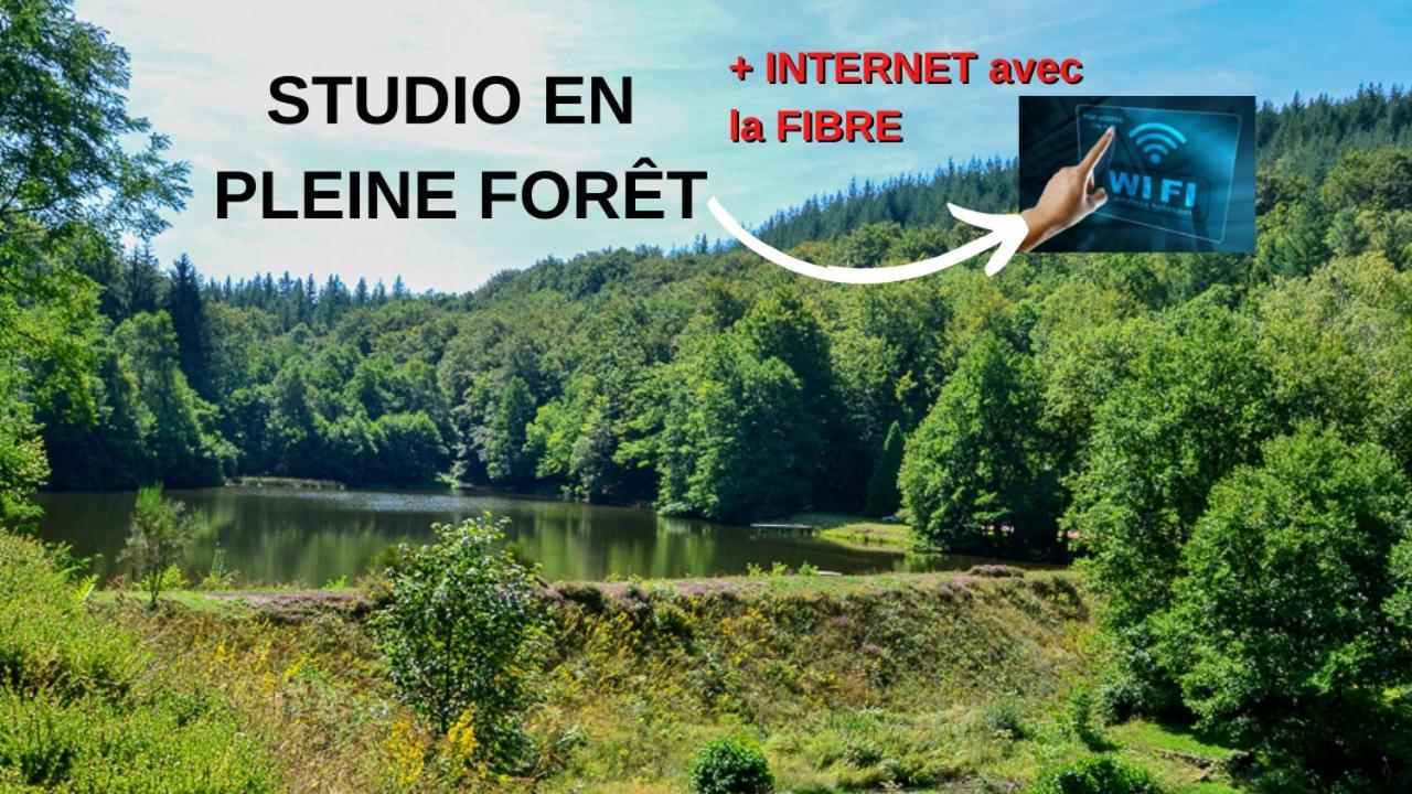 Studio aux Sources de la Chabanne Saint-Hilaire-les-Courbes Extérieur photo